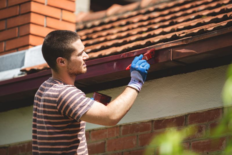 Chimney Painting in Longmont, CO