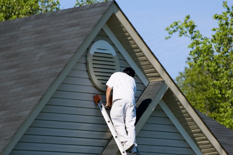 Vinyl Siding Painting in Fort Collins, CO